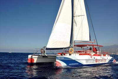 Tour de observación y escucha de 3 horas de ballenas y delfines Tour de observación y escucha de 3 horas de ballenas y delfines