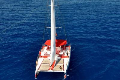 Observando y escuchando ballenas y delfines en Tenerife. Observando y escuchando ballenas y delfines en Tenerife.