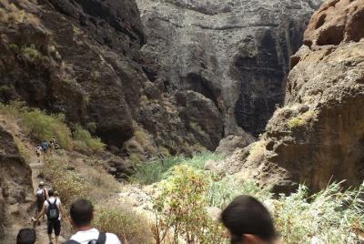 Ruta de Trekking en Barranco de Masca Ruta de Trekking en Barranco de Masca