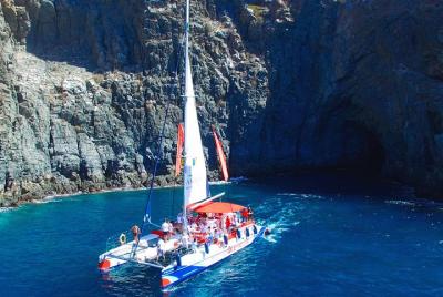 Excursión de 5 horas de avistamiento de ballenas en un exclusivo catamarán con catering gratuito Excursión de 5 horas de avistamiento de ballenas en un exclusivo catamarán con catering gratuito