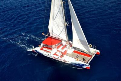 Observando y escuchando la fauna en Tenerife con catering gratuito a bordo Observando y escuchando la fauna en Tenerife con catering gratuito a bordo