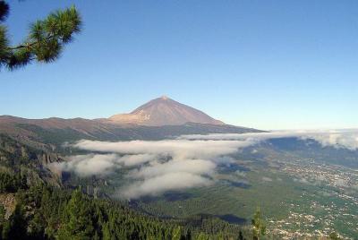 Excursión básica de Tenerife y el Teide por la costa Excursión básica de Tenerife y el Teide por la costa