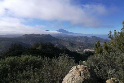 Volcán Teide y experiencia de la Unesco Volcán Teide y experiencia de la Unesco