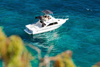 Avistamiento de ballenas y pesca con Sea Passion Tenerife: Disfrute de la naturaleza desde el mar Avistamiento de ballenas y pesca con Sea Passion Tenerife: Disfrute de la naturaleza desde el mar