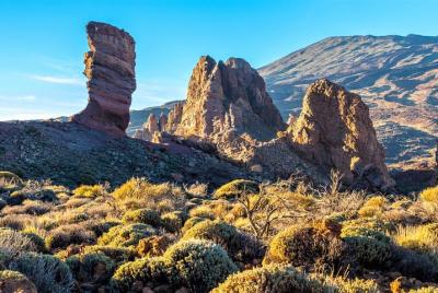 Masca Teide Confort (max 7pax)-Del Sur al Norte,un viaje por la historia Masca Teide Confort (max 7pax)-Del Sur al Norte,un viaje por la historia