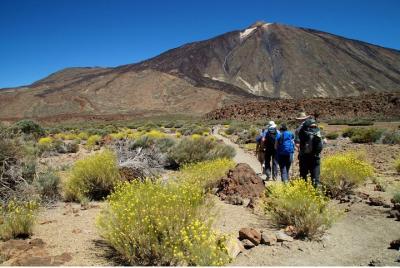 Ruta de senderismo Pico Teide con permiso y guía en Tenerife Ruta de senderismo Pico Teide con permiso y guía en Tenerife