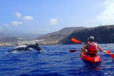 Kayak, snorkel y natación con delfines y observación Kayak, snorkel y natación con delfines y observación