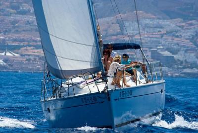 Recorrido en barco de lujo de 3 horas en Tenerife con baño y comida a bordo Recorrido en barco de lujo de 3 horas en Tenerife con baño y comida a bordo