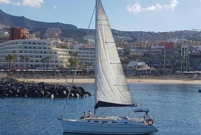 Paseo en bote de 3 horas desde Costa Adeje en Tenerife Paseo en bote de 3 horas desde Costa Adeje en Tenerife