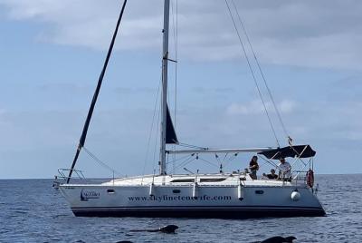 Excursión en velero por la Costa del Sur de Tenerife 3 horas Excursión en velero por la Costa del Sur de Tenerife 3 horas
