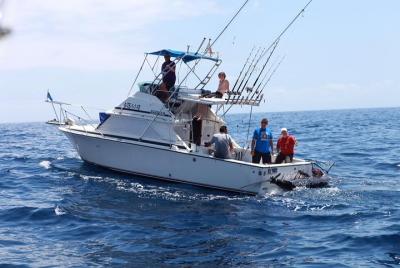 Travesía de pesca compartida de 4 horas en Tenerife Travesía de pesca compartida de 4 horas en Tenerife