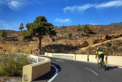 Ruta Bicicleta Carretera - Costa Este Ruta Bicicleta Carretera - Costa Este