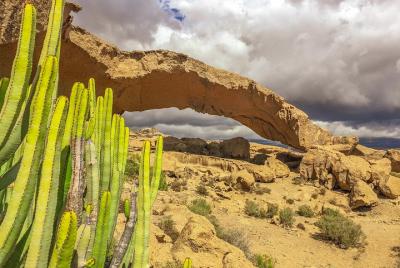 Tour en grupo pequeño de Tenerife Sur: secretos de los volcanes Tour en grupo pequeño de Tenerife Sur: secretos de los volcanes