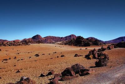 Tour privado de 8 horas a El Teide desde el hotel Tenerife con conductor / guía Tour privado de 8 horas a El Teide desde el hotel Tenerife con conductor / guía