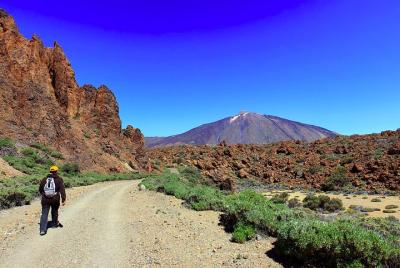 Excursión privada de un día completo a la cima del Teide: vaya de excursión y regrese en teleférico Excursión privada de un día completo a la cima del Teide: vaya de excursión y regrese en teleférico