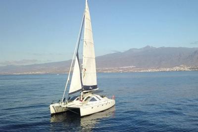 Avistamiento de ballenas y relajante paseo en barco con almuerzo Avistamiento de ballenas y relajante paseo en barco con almuerzo