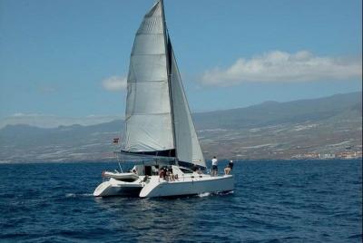 Prestigioso crucero en catamarán con barra libre Prestigioso crucero en catamarán con barra libre