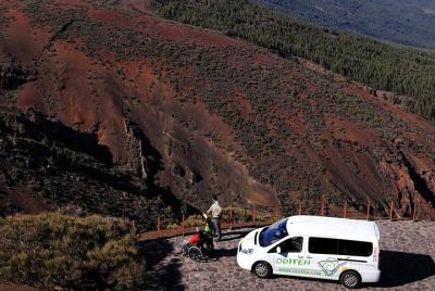 Conozca el Parque Nacional del Teide y el norte de Tenerife en tour privado Conozca el Parque Nacional del Teide y el norte de Tenerife en tour privado