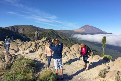 Excursión por la costa norte del Teide y Tenerife con degustación de comida y vino Excursión por la costa norte del Teide y Tenerife con degustación de comida y vino