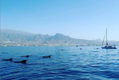 Private Charter in Tenerife south max 7 people Private Charter in Tenerife south max 7 people