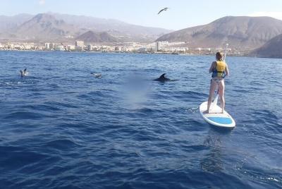 Aventura en SUP y Esnórquel en Playa de Los Cristianos Aventura en SUP y Esnórquel en Playa de Los Cristianos
