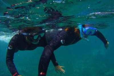 Snorkel en una maravillosa bahía volcánica Snorkel en una maravillosa bahía volcánica