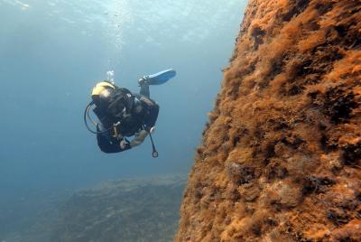 Submarinismo para buzos certificados Submarinismo para buzos certificados