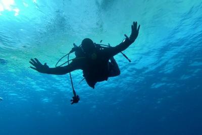 Salida de Buceo en el Sur de Tenerife Salida de Buceo en el Sur de Tenerife