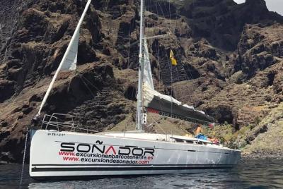 3 Horas Todo incluido en barco a vela para ver ballenas y delfines 3 Horas Todo incluido en barco a vela para ver ballenas y delfines