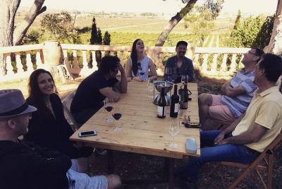 Recorrido por la región vinícola de Valencia