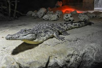 Entrada al acuario de Zaragoza Entrada al acuario de Zaragoza