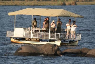 Excursión de día completo a Chobe (desde las cataratas Victoria)