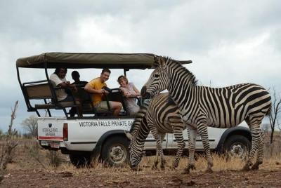 Medio día Chobe con almuerzo - Botswana