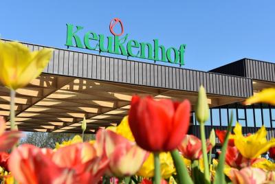 Tour guiado de un día al jardín de Keukenhof y campos de flores desde La Haya