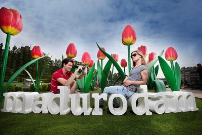 Visita guiada de Keukenhof más visita a Madurodam desde La Haya Visita guiada de Keukenhof más visita a Madurodam desde La Haya