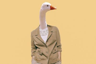 Juego en vivo de Goose city walk Delft