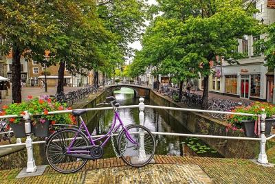 Tour privado romántico en Delft