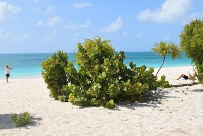 Wadadli Sensaciones y Rayas