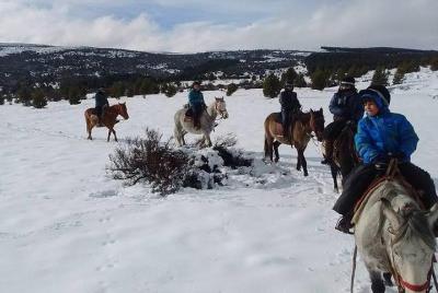 Cabalgata de día completo con Asado en San Carlos de Bariloche, Argentina Cabalgata de día completo con Asado en San Carlos de Bariloche, Argentina