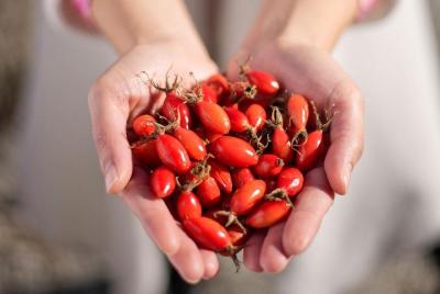 Fabrica De Aceites Naturales Y Alimentos Funcionales Organicos