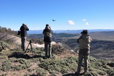 Photo Discovering Condors & Birdwatching - Tour de día completo en servicio privado Photo Discovering Condors & Birdwatching - Tour de día completo en servicio privado