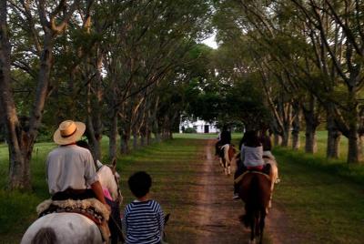 Día de la Estancia en Buenos Aires, Gaucho´s Party Tour