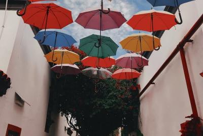 Buenos Aires: Arte y Cultura