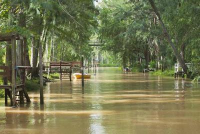 Delta Tour en barco y tour guiado por la ciudad de Tigre, que incluye cena y espectáculo de tango