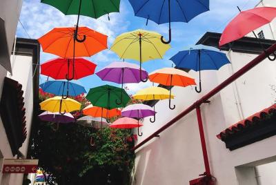 Buenos Aires y taller de tintes naturales
