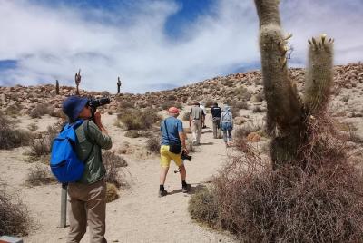 Excursión de 2 días al Algarrobal, Los Colorados y La Poma desde Cachi