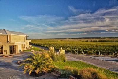 Experiencia Gourmet Ruta del Vino de la Patagonia