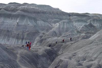Recorrido de senderismo por el Bosque Petrificado La Leona desde El Calafate