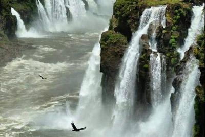 Catartatas Argentinas