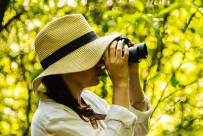 Experiencia forestal y cultural (en privado)